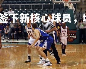 澳客网-阿森纳宣布签下新核心球员，增强实力，阿森纳新帅候选