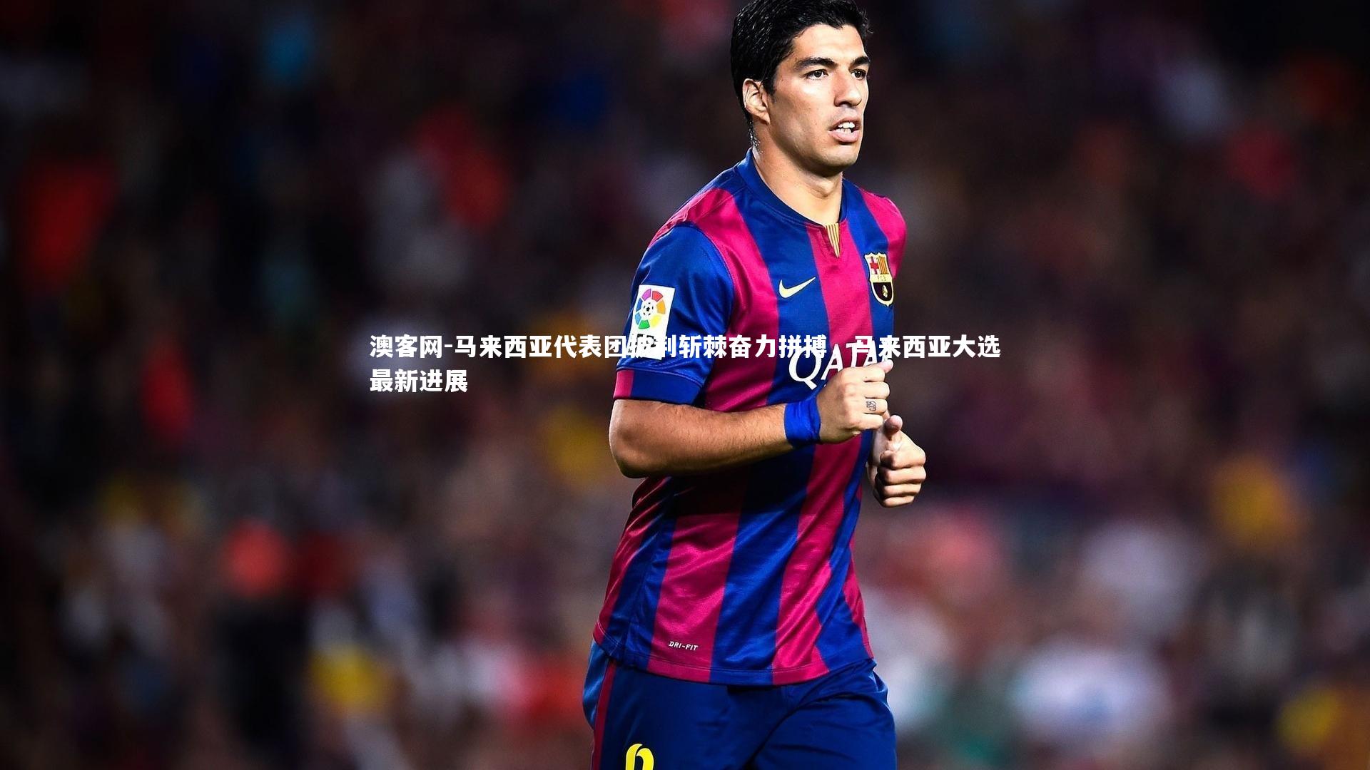 马来西亚代表团披荆斩棘奋力拼搏，马来西亚大选最新进展